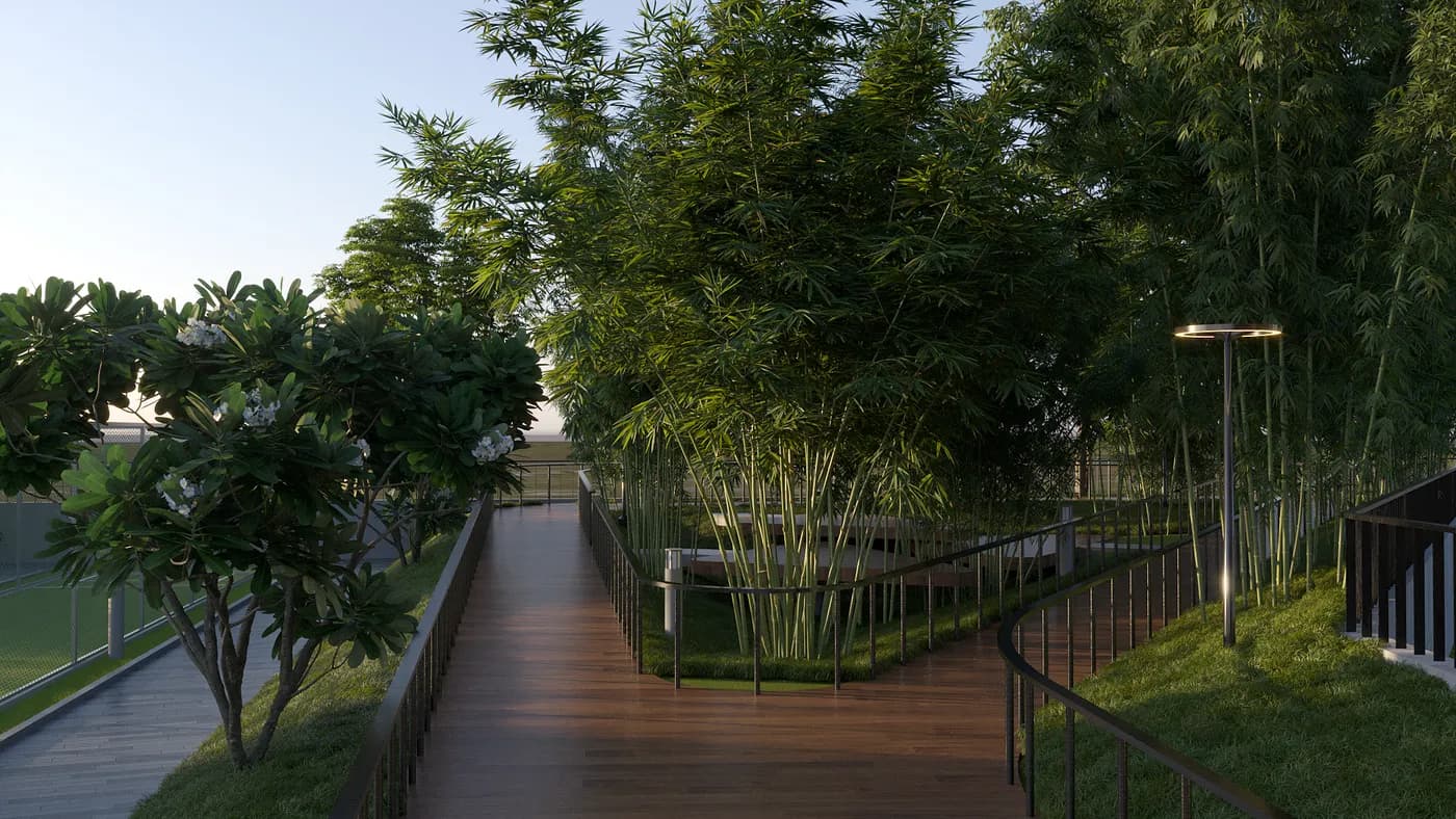 Bamboo walking trail