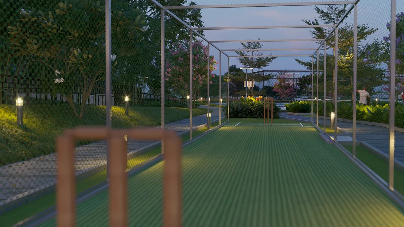 Cricket Practice Pitch