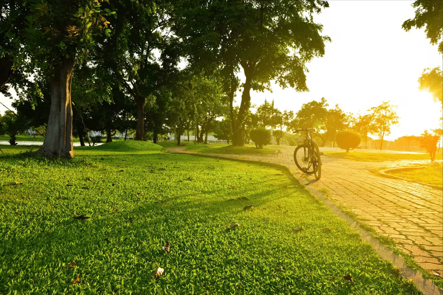 Park and green open spaces