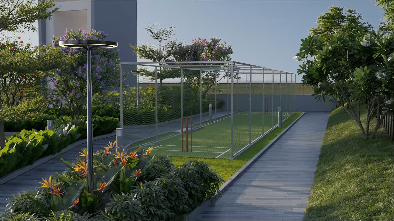 Cricket Practice Pitch